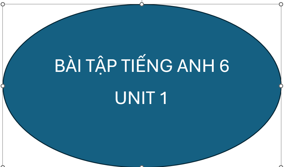 BÀI TẬP ÔN TẬP UNIT 1 TIẾNG ANH 6+ ĐÁP ÁN